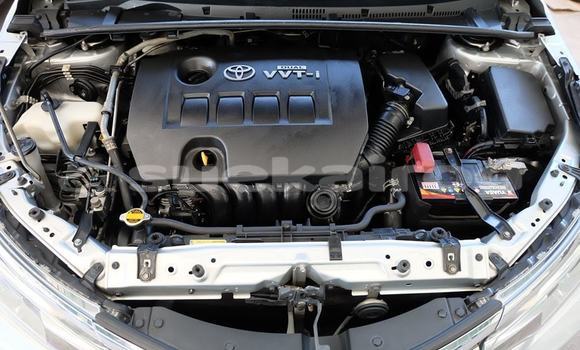 Buy Used Toyota Altis Silver Car in Udon Thani in Udon Thani Buy Used Toyota Altis Silver Car in Udon Thani in Udon Thani