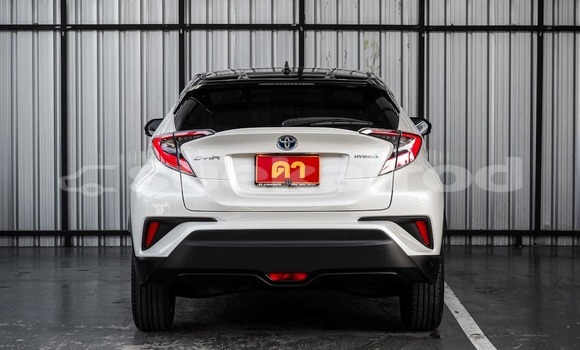 Buy Used Toyota C-HR White Car in Bangkok in Bangkok Buy Used Toyota C-HR White Car in Bangkok in Bangkok