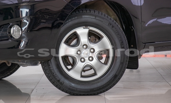 Buy Used Toyota Vigo Black Car in Bangkok in Bangkok Buy Used Toyota Vigo Black Car in Bangkok in Bangkok