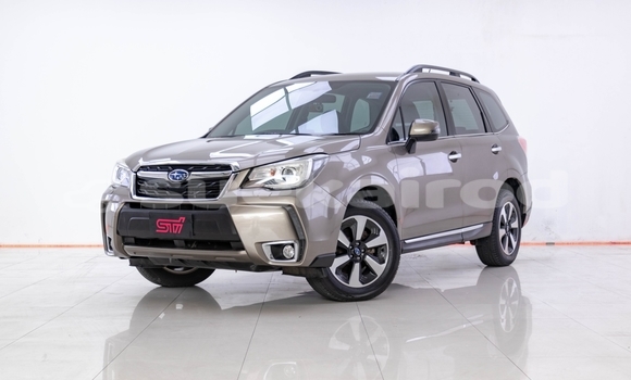 Buy Used Subaru Forester Brown Car in Bangkok in Bangkok