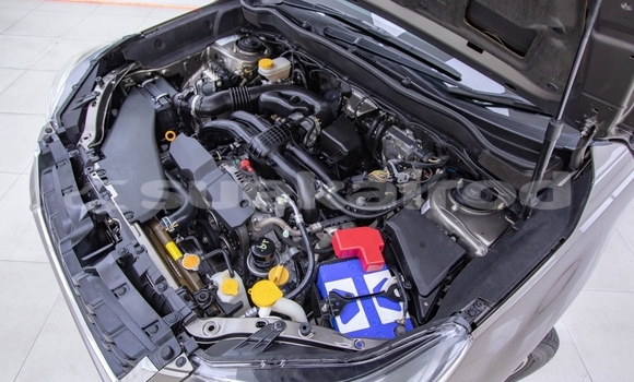 Buy Used Subaru Forester Brown Car in Bangkok in Bangkok Buy Used Subaru Forester Brown Car in Bangkok in Bangkok