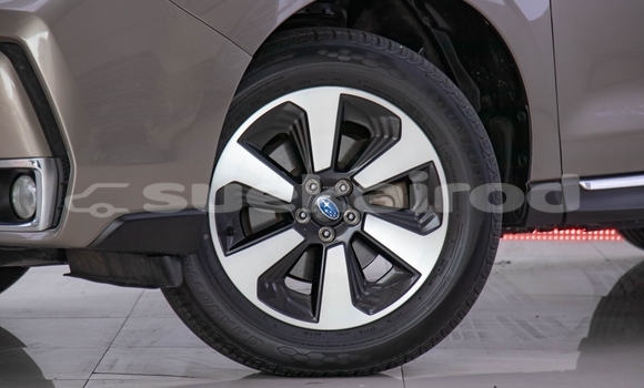 Buy Used Subaru Forester Brown Car in Bangkok in Bangkok Buy Used Subaru Forester Brown Car in Bangkok in Bangkok