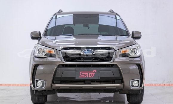 Buy Used Subaru Forester Brown Car in Bangkok in Bangkok Buy Used Subaru Forester Brown Car in Bangkok in Bangkok