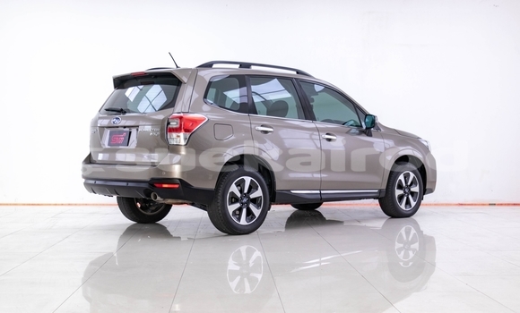 Buy Used Subaru Forester Brown Car in Bangkok in Bangkok Buy Used Subaru Forester Brown Car in Bangkok in Bangkok