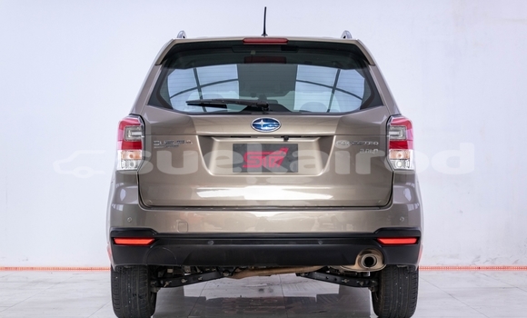 Buy Used Subaru Forester Brown Car in Bangkok in Bangkok Buy Used Subaru Forester Brown Car in Bangkok in Bangkok