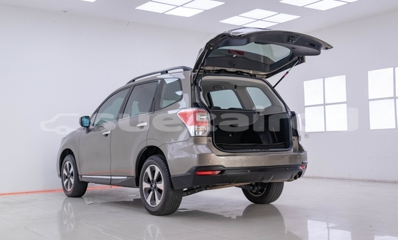 Buy Used Subaru Forester Brown Car in Bangkok in Bangkok Buy Used Subaru Forester Brown Car in Bangkok in Bangkok