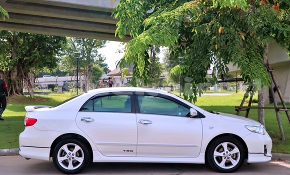 Buy Used Toyota Altis White Car in Bangkok in Bangkok Buy Used Toyota Altis White Car in Bangkok in Bangkok