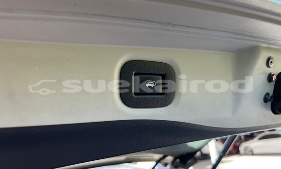 ซื้อ รถมือสอง Nissan X-Trail อื่น ๆ รถยนต์ ใน %{เมือง} ใน สงขลา ซื้อ รถมือสอง Nissan X-Trail อื่น ๆ รถยนต์ ใน %{เมือง} ใน สงขลา