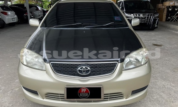 ซื้อ รถมือสอง Toyota Vios อื่น ๆ รถยนต์ ใน %{เมือง} ใน สงขลา ซื้อ รถมือสอง Toyota Vios อื่น ๆ รถยนต์ ใน %{เมือง} ใน สงขลา