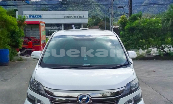 ซื้อ รถมือสอง Toyota Alphard ขาว รถยนต์ ใน %{เมือง} ใน สุราษฎร์ธานี ซื้อ รถมือสอง Toyota Alphard ขาว รถยนต์ ใน %{เมือง} ใน สุราษฎร์ธานี