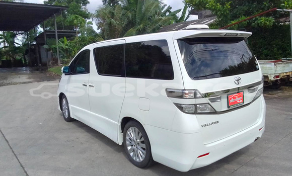 ซื้อ รถมือสอง Toyota Alphard ขาว รถยนต์ ใน %{เมือง} ใน สุราษฎร์ธานี ซื้อ รถมือสอง Toyota Alphard ขาว รถยนต์ ใน %{เมือง} ใน สุราษฎร์ธานี