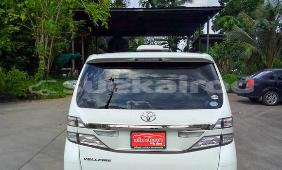 ซื้อ รถมือสอง Toyota Alphard ขาว รถยนต์ ใน %{เมือง} ใน สุราษฎร์ธานี ซื้อ รถมือสอง Toyota Alphard ขาว รถยนต์ ใน %{เมือง} ใน สุราษฎร์ธานี