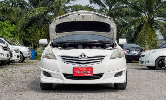 ซื้อ รถมือสอง Toyota Vios ขาว รถยนต์ ใน %{เมือง} ใน สุราษฎร์ธานี ซื้อ รถมือสอง Toyota Vios ขาว รถยนต์ ใน %{เมือง} ใน สุราษฎร์ธานี