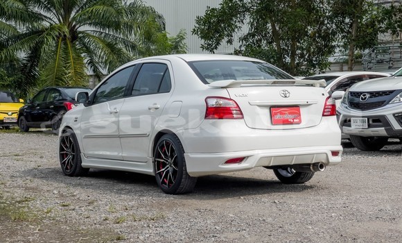 ซื้อ รถมือสอง Toyota Vios ขาว รถยนต์ ใน %{เมือง} ใน สุราษฎร์ธานี ซื้อ รถมือสอง Toyota Vios ขาว รถยนต์ ใน %{เมือง} ใน สุราษฎร์ธานี