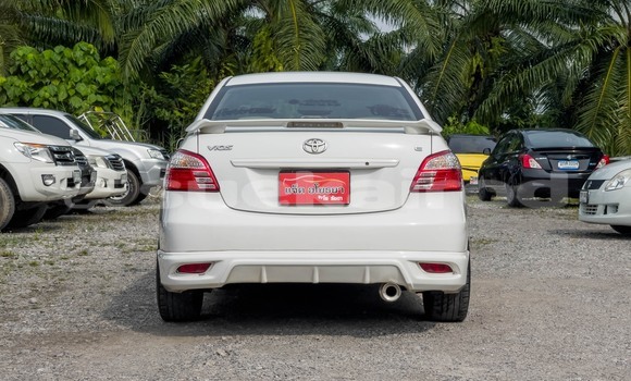 ซื้อ รถมือสอง Toyota Vios ขาว รถยนต์ ใน %{เมือง} ใน สุราษฎร์ธานี ซื้อ รถมือสอง Toyota Vios ขาว รถยนต์ ใน %{เมือง} ใน สุราษฎร์ธานี