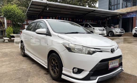Buy Used Toyota Vios White Car in Nakhon Ratchasima in Nakhon Ratchasima Buy Used Toyota Vios White Car in Nakhon Ratchasima in Nakhon Ratchasima
