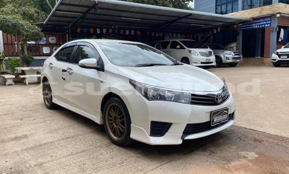 ซื้อ รถมือสอง Toyota Corolla Altis ขาว รถยนต์ ใน %{เมือง} ใน นครราชสีมา ซื้อ รถมือสอง Toyota Corolla Altis ขาว รถยนต์ ใน %{เมือง} ใน นครราชสีมา