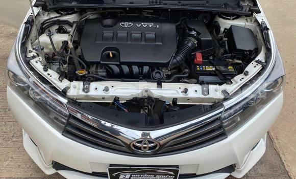 ซื้อ รถมือสอง Toyota Corolla Altis ขาว รถยนต์ ใน %{เมือง} ใน นครราชสีมา ซื้อ รถมือสอง Toyota Corolla Altis ขาว รถยนต์ ใน %{เมือง} ใน นครราชสีมา