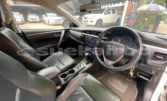 ซื้อ รถมือสอง Toyota Corolla Altis ขาว รถยนต์ ใน %{เมือง} ใน นครราชสีมา ซื้อ รถมือสอง Toyota Corolla Altis ขาว รถยนต์ ใน %{เมือง} ใน นครราชสีมา