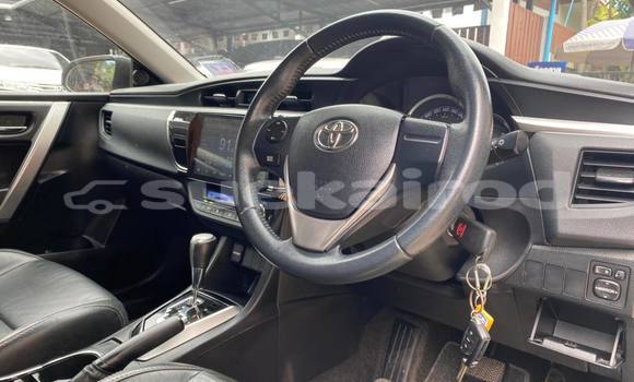 ซื้อ รถมือสอง Toyota Corolla Altis ขาว รถยนต์ ใน %{เมือง} ใน นครราชสีมา ซื้อ รถมือสอง Toyota Corolla Altis ขาว รถยนต์ ใน %{เมือง} ใน นครราชสีมา