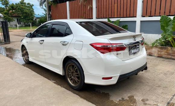 ซื้อ รถมือสอง Toyota Corolla Altis ขาว รถยนต์ ใน %{เมือง} ใน นครราชสีมา ซื้อ รถมือสอง Toyota Corolla Altis ขาว รถยนต์ ใน %{เมือง} ใน นครราชสีมา