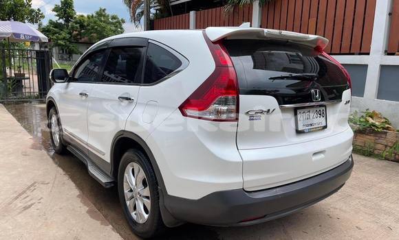Buy Used Honda CR-V White Car in Nakhon Ratchasima in Nakhon Ratchasima Buy Used Honda CR-V White Car in Nakhon Ratchasima in Nakhon Ratchasima