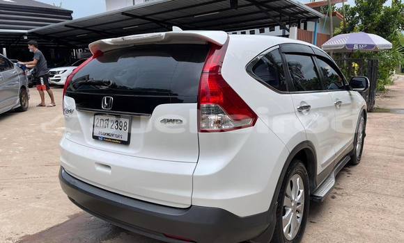 Buy Used Honda CR-V White Car in Nakhon Ratchasima in Nakhon Ratchasima Buy Used Honda CR-V White Car in Nakhon Ratchasima in Nakhon Ratchasima