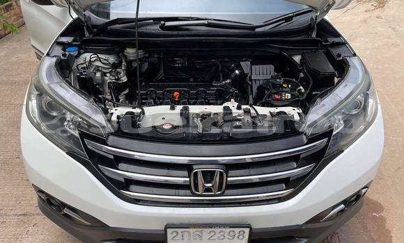 Buy Used Honda CR-V White Car in Nakhon Ratchasima in Nakhon Ratchasima Buy Used Honda CR-V White Car in Nakhon Ratchasima in Nakhon Ratchasima