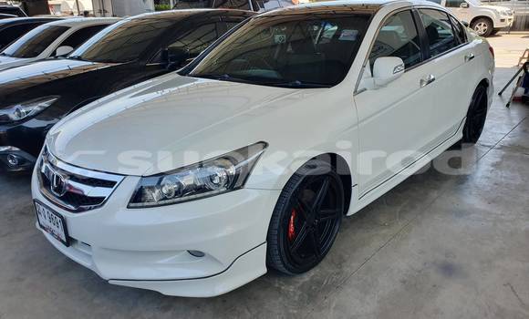 Buy Used Honda Accord White Car in Bangkok in Bangkok
