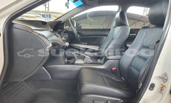 Buy Used Honda Accord White Car in Bangkok in Bangkok Buy Used Honda Accord White Car in Bangkok in Bangkok