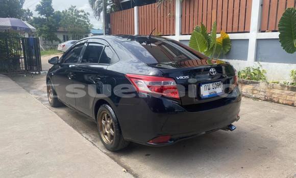 ซื้อ รถมือสอง Toyota Vios สีดำ รถยนต์ ใน %{เมือง} ใน นครราชสีมา ซื้อ รถมือสอง Toyota Vios สีดำ รถยนต์ ใน %{เมือง} ใน นครราชสีมา