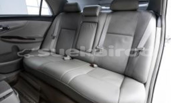 Buy Used Toyota Altis White Car in Bangkok in Bangkok Buy Used Toyota Altis White Car in Bangkok in Bangkok