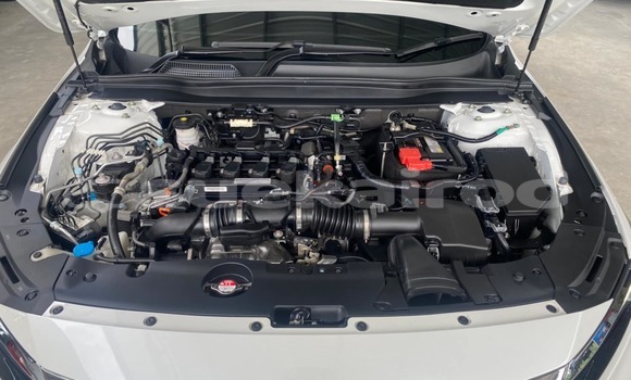 ซื้อ รถมือสอง Honda Accord ขาว รถยนต์ ใน %{เมือง} ใน สงขลา ซื้อ รถมือสอง Honda Accord ขาว รถยนต์ ใน %{เมือง} ใน สงขลา