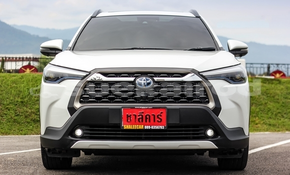 Buy Used Toyota Corolla Cross White Car in Chiang Mai in Chiang Mai Buy Used Toyota Corolla Cross White Car in Chiang Mai in Chiang Mai