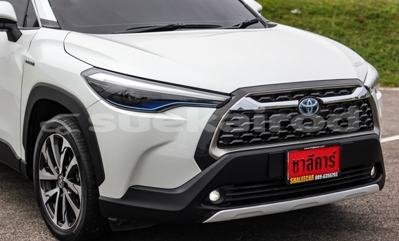 Buy Used Toyota Corolla Cross White Car in Chiang Mai in Chiang Mai Buy Used Toyota Corolla Cross White Car in Chiang Mai in Chiang Mai