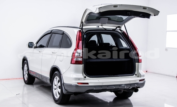 ซื้อ รถมือสอง Honda CR-V ขาว รถยนต์ ใน %{เมือง} ใน กรุงเทพมหานคร ซื้อ รถมือสอง Honda CR-V ขาว รถยนต์ ใน %{เมือง} ใน กรุงเทพมหานคร