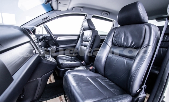 ซื้อ รถมือสอง Honda CR-V ขาว รถยนต์ ใน %{เมือง} ใน กรุงเทพมหานคร ซื้อ รถมือสอง Honda CR-V ขาว รถยนต์ ใน %{เมือง} ใน กรุงเทพมหานคร