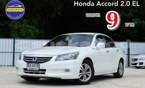 Buy Used Honda Accord White Car in Bangkok in Bangkok