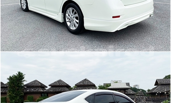 ซื้อ รถมือสอง Nissan Sylphy ขาว รถยนต์ ใน %{เมือง} ใน กรุงเทพมหานคร ซื้อ รถมือสอง Nissan Sylphy ขาว รถยนต์ ใน %{เมือง} ใน กรุงเทพมหานคร