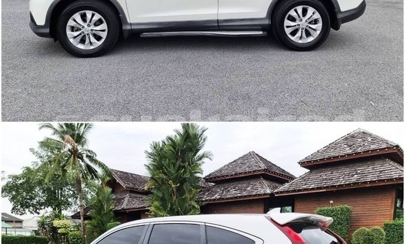 ซื้อ รถมือสอง Honda CR-V ขาว รถยนต์ ใน %{เมือง} ใน กรุงเทพมหานคร ซื้อ รถมือสอง Honda CR-V ขาว รถยนต์ ใน %{เมือง} ใน กรุงเทพมหานคร