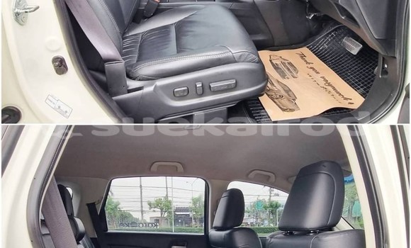 ซื้อ รถมือสอง Honda CR-V ขาว รถยนต์ ใน %{เมือง} ใน กรุงเทพมหานคร ซื้อ รถมือสอง Honda CR-V ขาว รถยนต์ ใน %{เมือง} ใน กรุงเทพมหานคร