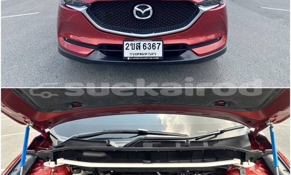 ซื้อ รถมือสอง Mazda CX-5 สีแดง รถยนต์ ใน %{เมือง} ใน กรุงเทพมหานคร ซื้อ รถมือสอง Mazda CX-5 สีแดง รถยนต์ ใน %{เมือง} ใน กรุงเทพมหานคร