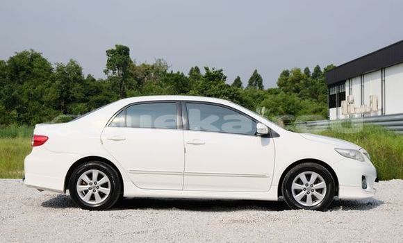 Buy Used Toyota Altis White Car in Bangkok in Bangkok Buy Used Toyota Altis White Car in Bangkok in Bangkok