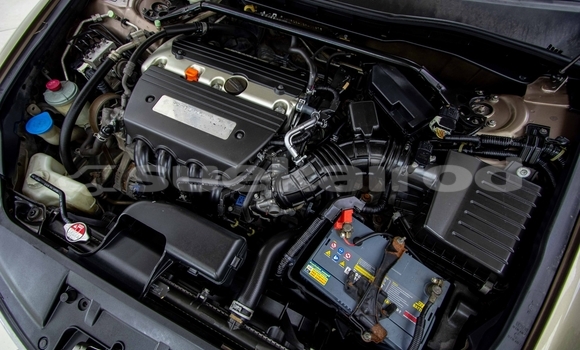 Buy Used Honda Accord Brown Car in Bangkok in Bangkok Buy Used Honda Accord Brown Car in Bangkok in Bangkok