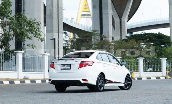 Buy Used Toyota Vios White Car in Bangkok in Bangkok Buy Used Toyota Vios White Car in Bangkok in Bangkok