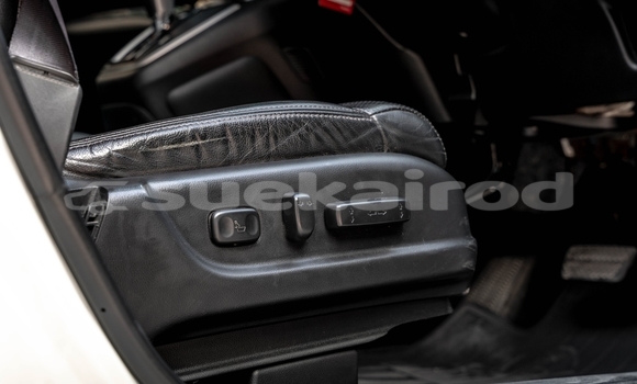 ซื้อ รถมือสอง Honda CR-V ขาว รถยนต์ ใน %{เมือง} ใน กรุงเทพมหานคร ซื้อ รถมือสอง Honda CR-V ขาว รถยนต์ ใน %{เมือง} ใน กรุงเทพมหานคร