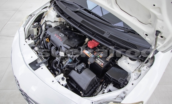 Buy Used Toyota Vios White Car in Bangkok in Bangkok Buy Used Toyota Vios White Car in Bangkok in Bangkok