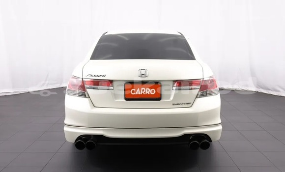 ซื้อ รถมือสอง Honda Accord ขาว รถยนต์ ใน %{เมือง} ใน กรุงเทพมหานคร ซื้อ รถมือสอง Honda Accord ขาว รถยนต์ ใน %{เมือง} ใน กรุงเทพมหานคร