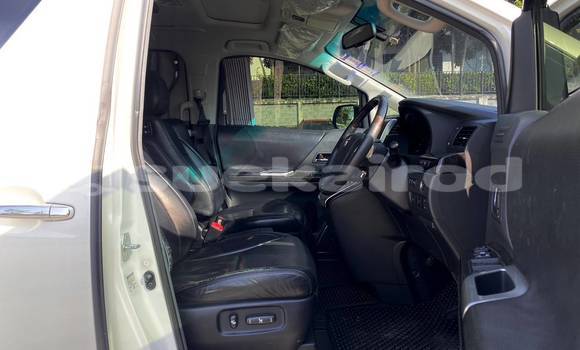 Buy Used Toyota Alphard White Car in Bangkok in Bangkok Buy Used Toyota Alphard White Car in Bangkok in Bangkok