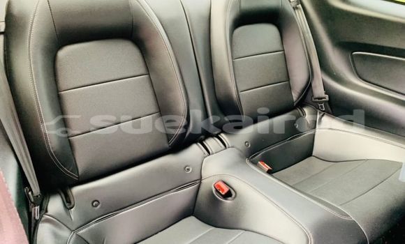 ซื้อ รถมือสอง Ford Mustang สีแดง รถยนต์ ใน %{เมือง} ใน กรุงเทพมหานคร ซื้อ รถมือสอง Ford Mustang สีแดง รถยนต์ ใน %{เมือง} ใน กรุงเทพมหานคร